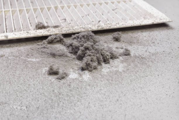 Best Air Vent Cleaning Services  in Dobson, NC